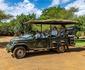 AfriCamps at White Elephant Safaris