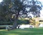 Luka Wine Estate