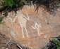 Wonder Waters Tonteldoos