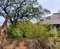 Taaibos Bush Lodge