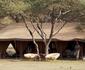 Serian Serengeti North and South Camp