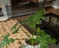 Simonzicht Guest House