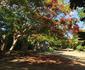 Chole Mjini Lodge