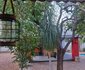 Fire and Ice Guesthouse Lephalale