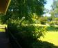 Dawnview Guest House