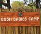 Bush Babies Camp