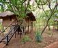 Ubizane Zululand Tree Lodge