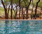 Phakela Private Game Lodge