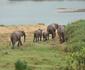 Elephant Walk Tented Camp