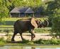 Inyati Game Lodge, Sabi Sand Nature Reserve