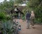 Kambaku Safari Lodge Timbavati