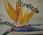 Strelitzia Guesthouse