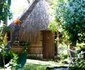 Camp Lagoa