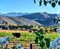 Berluda Farmhouse & Cottages