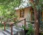 Thornhill Safari Lodge