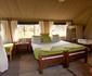 Serengeti North Wilderness Camp