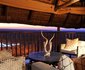 Victoria Falls Safari Lodge