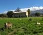 Waterkloof Guest Farm