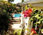 25 Sandpiper B&B