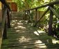 African Tree Lodge