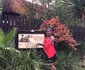 Afrikhaya Guest House
