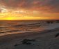 Sea Breeze