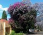 Thulani Lodge
