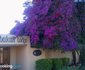 Thulani Lodge
