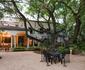 Angel Oak Guesthouse