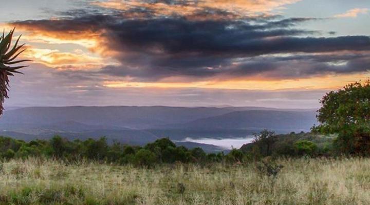 Bellevue Forest Reserve