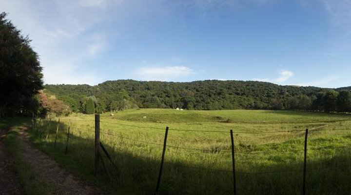 Ferndene Farm
