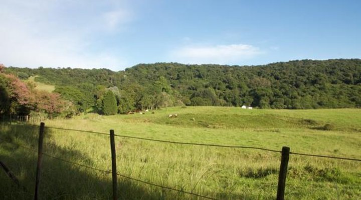 Ferndene Farm