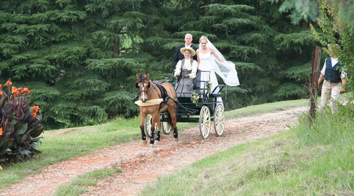 Ferndene Farm