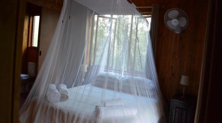 Lion Tree Bush Lodge