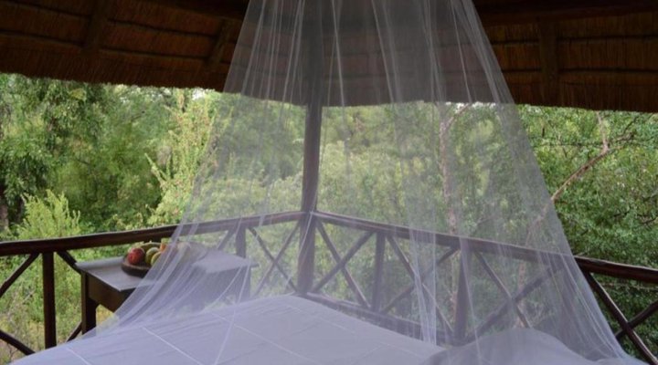 Lion Tree Bush Lodge