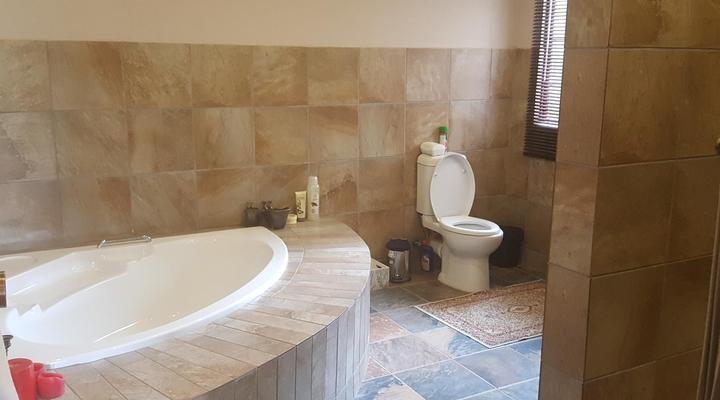 Clydesdale on Lions River