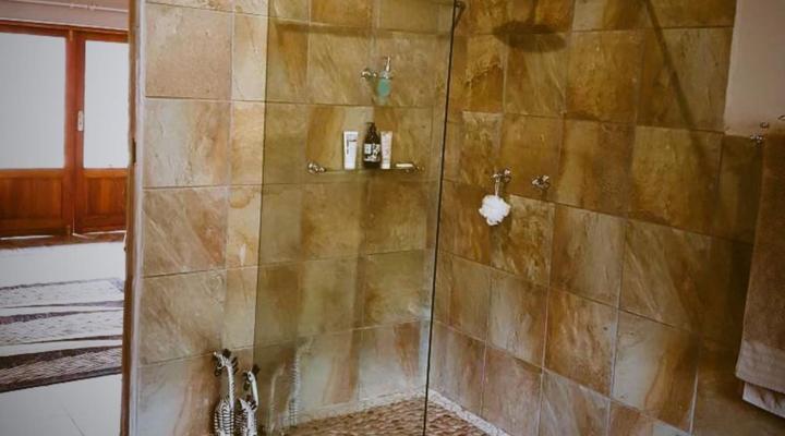 Clydesdale on Lions River