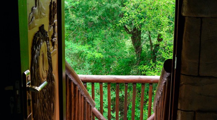 Beyond the Boma
