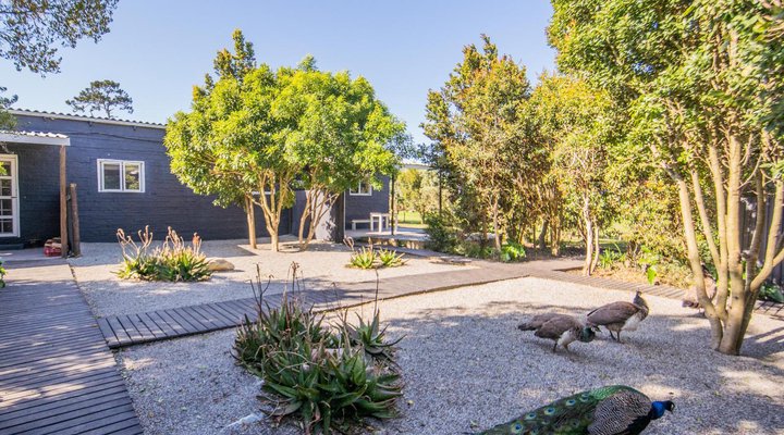 Beyond Urban Cottages