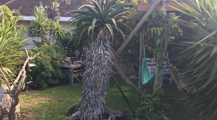 Amor da Vida self catering 