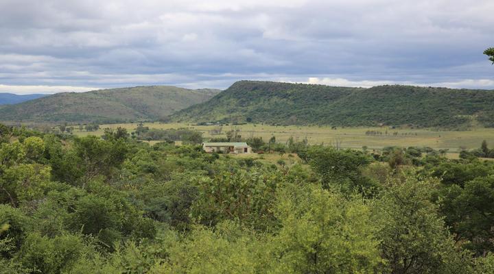 Bateleur Nature Reserve