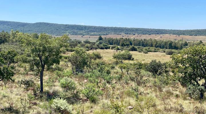 Bateleur Nature Reserve