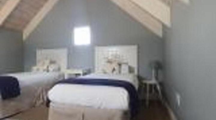 Cape St Francis Collection