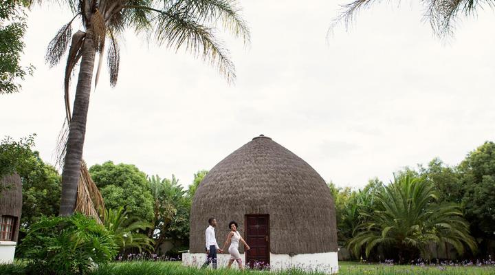 Kievits Kroon Gauteng Wine Estate