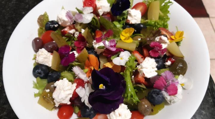 Lavender Lane Bed and Breakfast