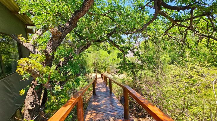 Kingfisher Creek Safari Cottages