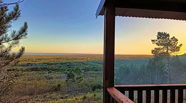 Salted Fynbos Staying