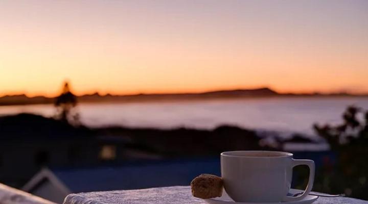 Salted Fynbos Staying