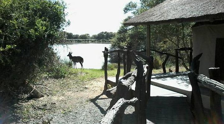 Glen Boyd Game Reserve