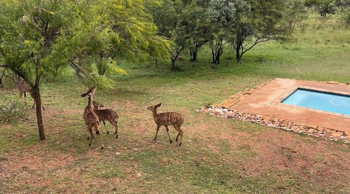 Moi Signature Luxury Villa's - Zebula Golf and Wildlife Estate